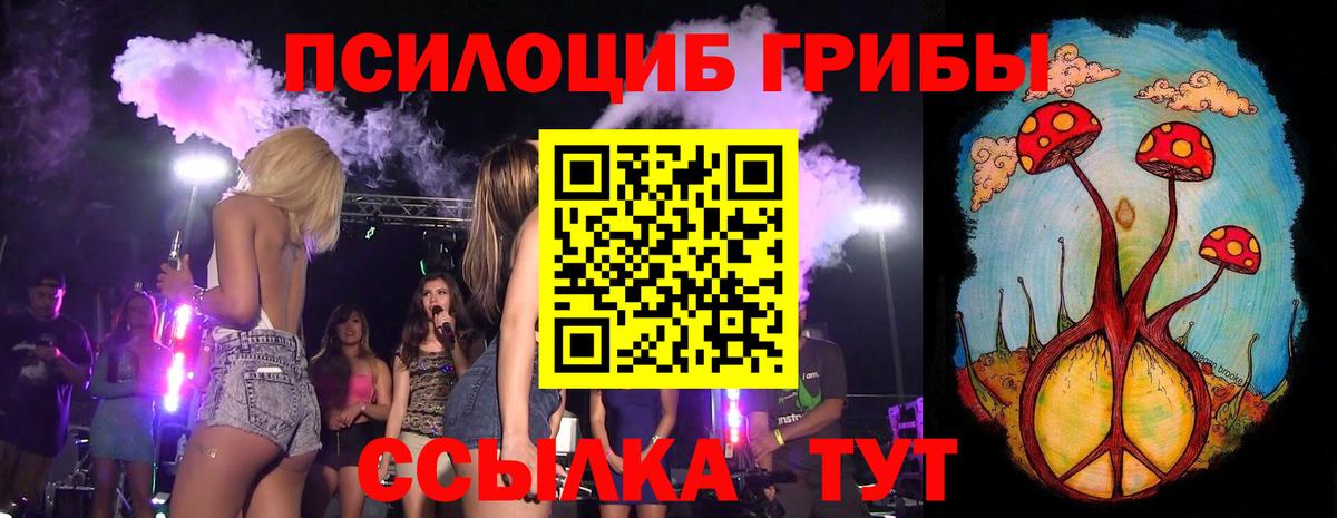 Камень-на-Оби  Псилоцибиновые грибы Psilocybe  Вход с VPN 